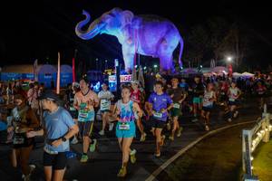 BIB: 
                            <button type="button" onclick="openModal(26552329)" class="btn btn-primary btn-sm float-right btn-popup" data-toggle="modal" data-target=".modal-high-quality">
                        <i class="fas fa-shopping-cart"></i> Add to Cart
                    </button>
                                            <button type="button" onclick="isThisMe(26552329, true)" class="btn btn-success btn-sm float-right btn-popup btn-isme hidden" data-toggle="tooltip" data-placement="bottom" title="นี่คือรูปของคุณใช่ไหม คลิกที่นี่เพื่อเอาเข้าอัลบั้ม">
                        <i class="fas fa-plus"></i> Add to album
                    </button>
                    <button type="button" onclick="isThisMe(26552329, false)" class="btn btn-warning btn-sm float-right btn-popup btn-isnotme hidden">
                        <i class="fas fa-ban"></i> Remove from album
                    </button>